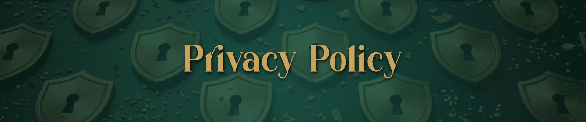 Privacy Policy Hero